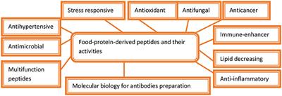 Microbial Proteases Applications